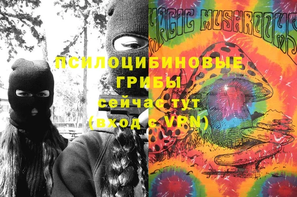 тгк Алзамай