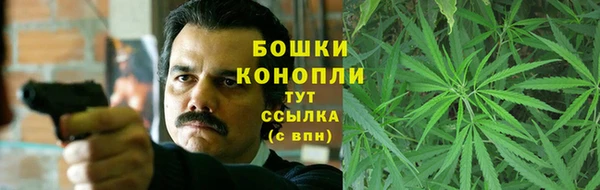гашик Аркадак
