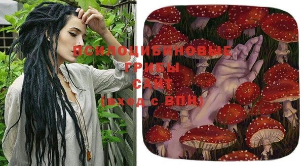 гашик Аркадак