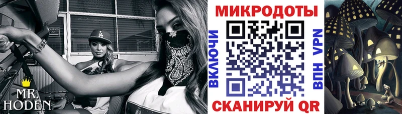 сколько стоит  Изобильный  Галлюциногенные грибы GOLDEN TEACHER 